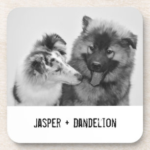 Dessous-de-verre Photo simple, moderne personnalisée pour animaux d