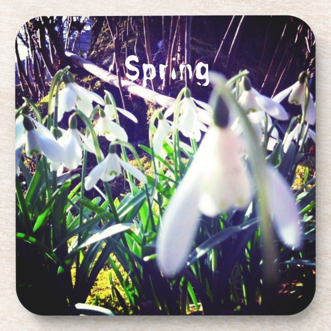 Dessous-de-verre Photo Snowdrops par River Severn / Hafren (Devant)