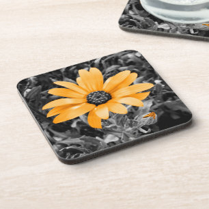 Dessous-de-verre Photographie de marguerite africaine du printemps