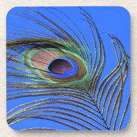Photographie d'une plume de paon