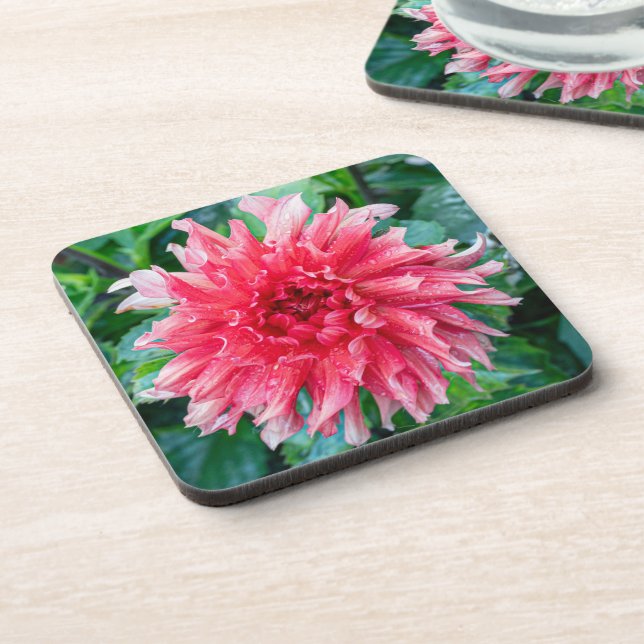 Dessous-de-verre Pink Dahlia Photographie, Beauté canadienne (Côté gauche)