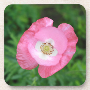 Dessous-de-verre Pink poppy