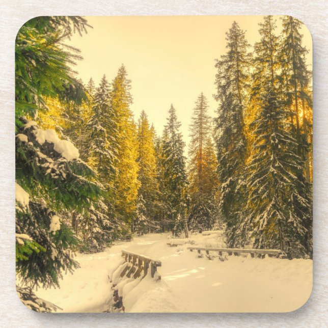 Dessous-de-verre Pins couverts de neige Forêt Nature Photo (Devant)
