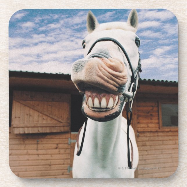Dessous-de-verre Plan rapproché de cheval avec la bouche ouverte (Devant)