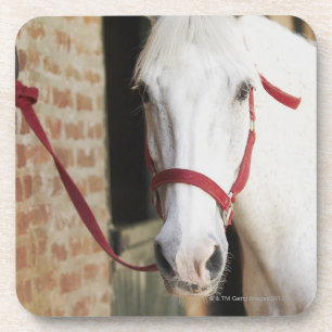 Dessous-de-verre Plan rapproché d'un cheval 2