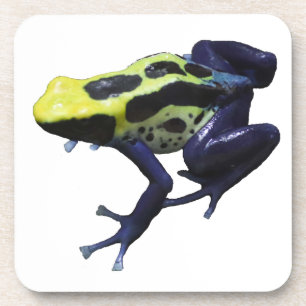 Dessous-de-verre Poison grenouille