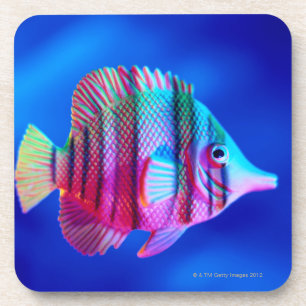 Dessous-de-verre Poissons tropicaux