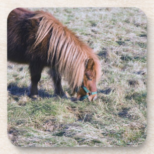 Dessous-de-verre Poney mignon frôlant sur le pré
