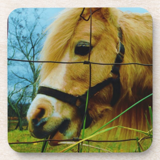 Dessous-de-verre Pony miniature blond / Cheval Ciel bleu (Devant)