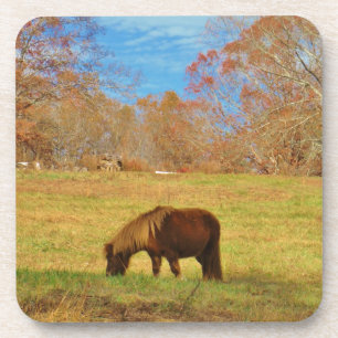 Dessous-de-verre Pony miniature Brown