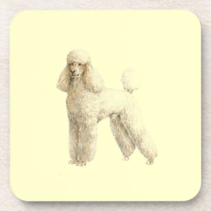 Dessous-de-verre Poodle — Clip de chiot