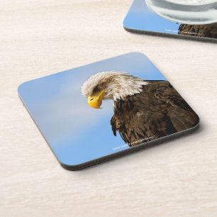 Dessous-de-verre Portrait d'aigle à tête blanche Art animalier