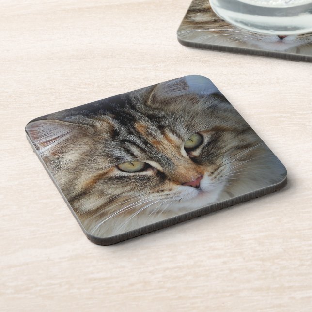 Dessous-de-verre Portrait de chat Maine Coon (Côté gauche)