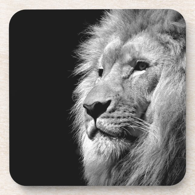 Dessous-de-verre Portrait de Lion noir blanc - Photographie d'anima (Devant)