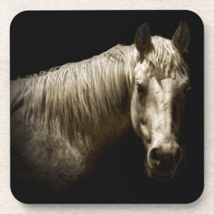 Dessous-de-verre Portrait VI de cheval