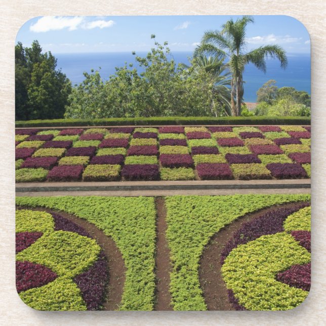 Dessous-de-verre Portugal, île de Madère, Funchal. Botanique (Devant)