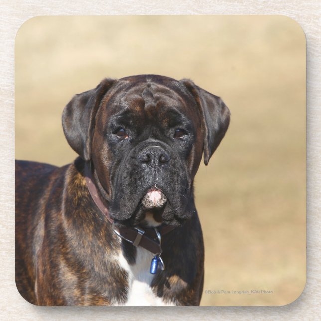 Dessous-de-verre Position Brindle de chien de boxeur (Devant)