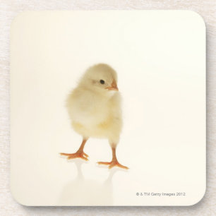 Dessous-de-verre Poulet de bébé