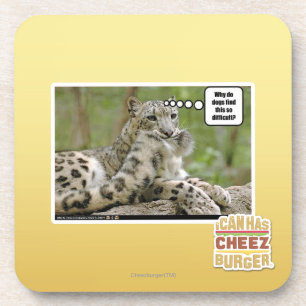 Dessous-de-verre Pourquoi les chiens trouvent-ils ceci si difficile