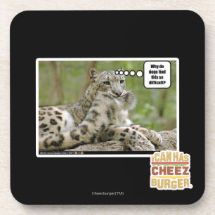 Dessous-de-verre Pourquoi les chiens trouvent-ils ceci si difficile