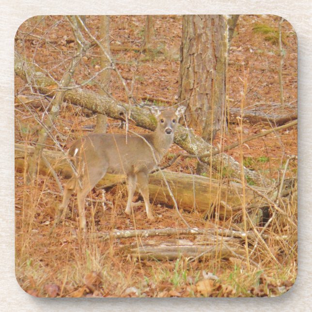 Dessous-de-verre Premier hiver du Cerf de Bébé (Devant)