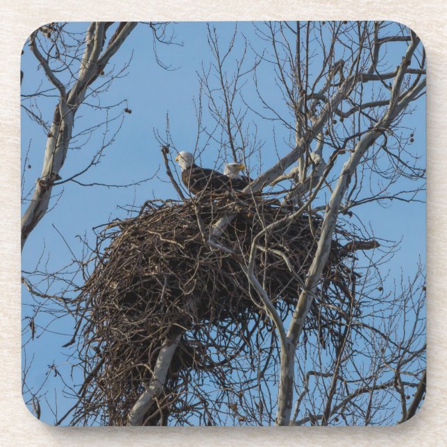 Dessous-de-verre Problème de double aigle (Devant)