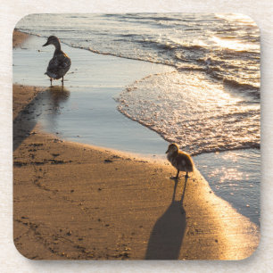 Dessous-de-verre Promenade au coucher du soleil avec maman