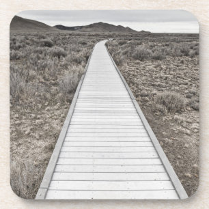 Dessous-de-verre Promenade par le désert