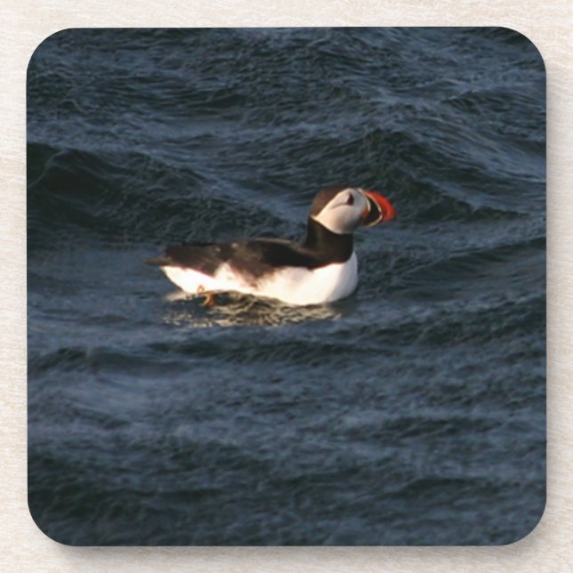 Dessous-de-verre Puffin (Devant)