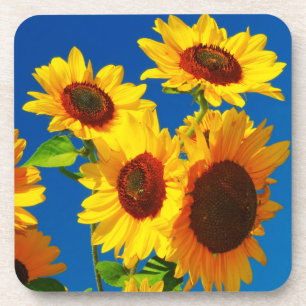 Dessous-de-verre Puissance de tournesol
