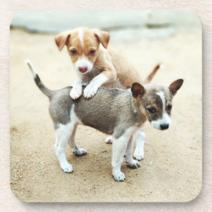 Dessous-de-verre Puppies mignonnes jouer sur la plage