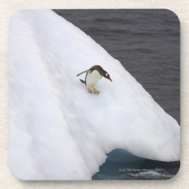 Dessous-de-verre Pygoscelis Papouasie de pingouin de Gentoo) se (Devant)