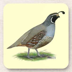 Dessous-de-verre Quail de la Californie