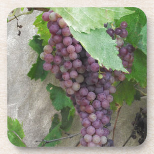 Dessous-de-verre Raisins pourpres sur la vigne