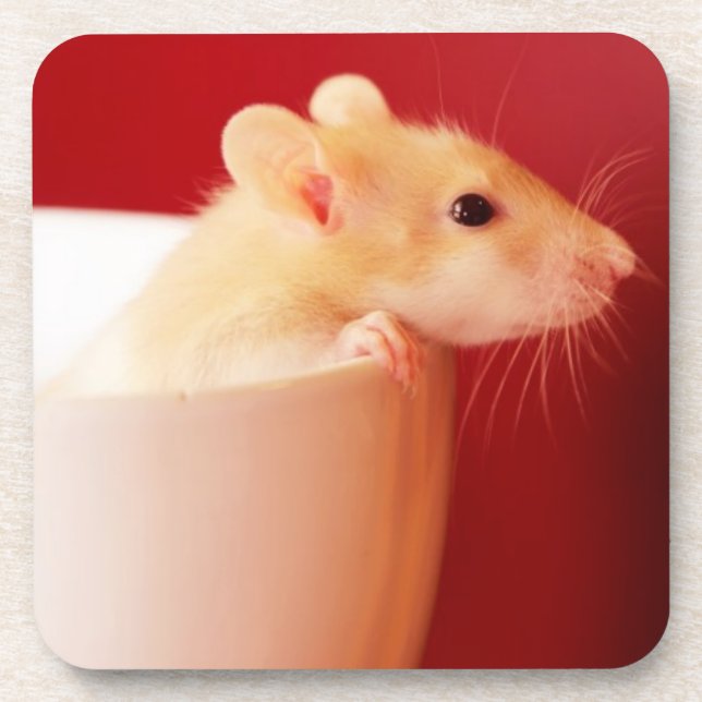 Dessous-de-verre Rat de bébé (Devant)