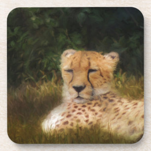 Dessous-de-verre Recenser Cheetah au Fossil Rim Wildlife Centre