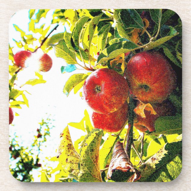 Dessous-de-verre "Red Apples Tree On Sunny Day" Photo Mignonne. Com (Devant)
