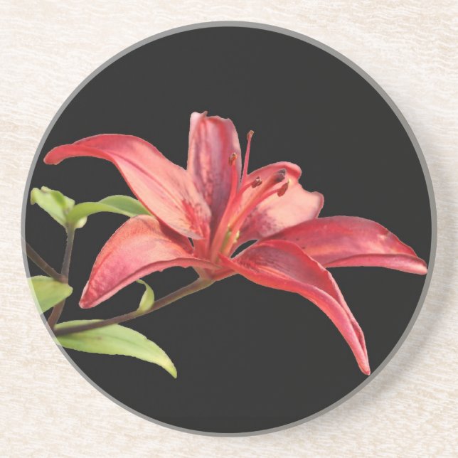 Dessous de verre Red Lily Sandstone (Devant)