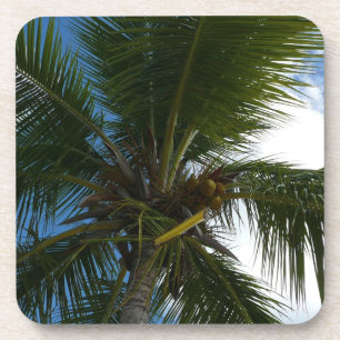 Dessous-de-verre Regard sur le palmier à coco Nature tropicale