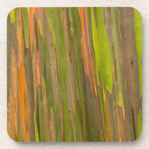 Dessous-de-verre Résumé de l'écorce d'eucalyptus