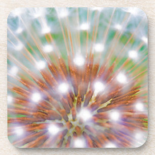 Dessous-de-verre Résumé de tête de graine de pissenlit