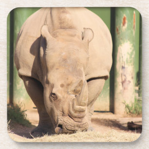 Dessous-de-verre Rhino blanc