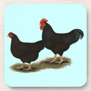 Dessous-de-verre Rhode Island Red Bantams