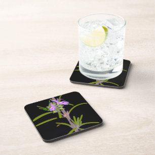 Dessous-de-verre Romarin en fleurs