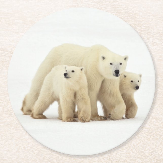 Dessous De Verre Rond Animaux de bébés cutest | Famille d'ours polaires (Devant)