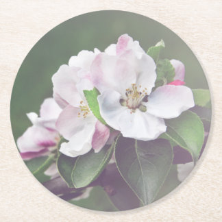 Dessous De Verre Rond Beaux Jardins Fleurissent Tasses de Printemps