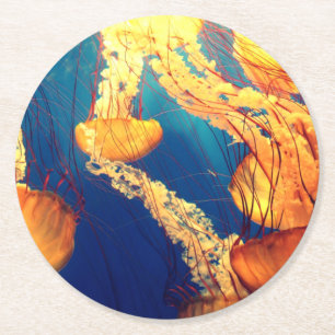 Dessous De Verre Rond Belle Vie Marine : Jellyfish or