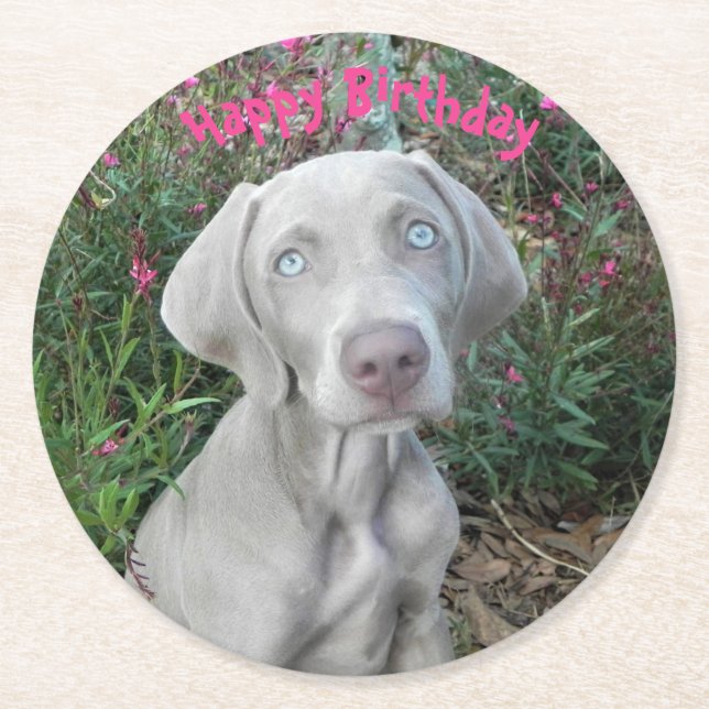 Dessous De Verre Rond Brooklyn's Birthday Garden Party - Weimaraner Dog  (Devant)
