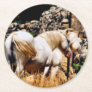 DESSOUS DE VERRE ROND CHEVAUX