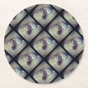 Dessous De Verre Rond Collage de chats par Shirley Taylor